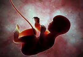 پاورپوینت حاملگی و سقط جنین
