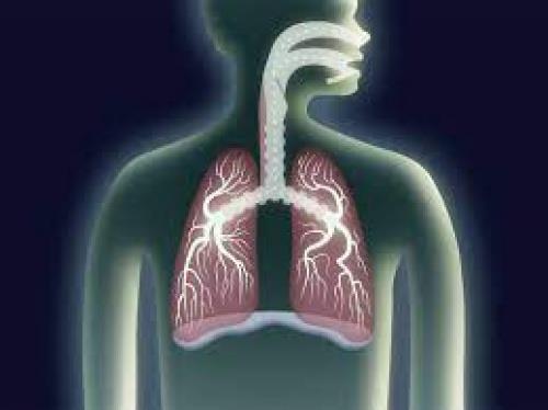  پاورپوینت تدریس مبحث سیستم تنفسی(lung)