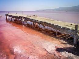 پاورپوینت دلایل خشک شدن دریاچه ارومیه و راهکارهای نجات دریاچه