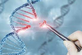 ژن درمانی، روش اصلاح ژن های معیوب و عامل بیماری