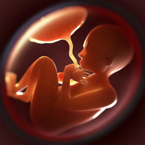 پاورپوینت روش های بررسی سلامت جنین 31 اسلاید