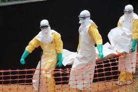 پاورپوینت در مورد بیماری ایبولا