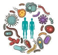 اسلاید آموزشی با عنوان میکروارگانیسم ها و بیماریها