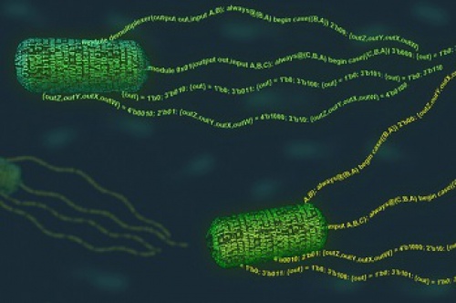 پاورپوینت کامل و جامع با عنوان ژنتیک میکروب ها در 32 اسلاید