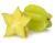  پاورپوینت کامل و جامع با عنوان بررسی کامل میوه ستاره ای یا کارامبولا (Carambola) در 34 اسلاید