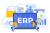  پروژه مقطع کارشناسی با عنوان مدیریت ریسک در پروژ ه های ERP