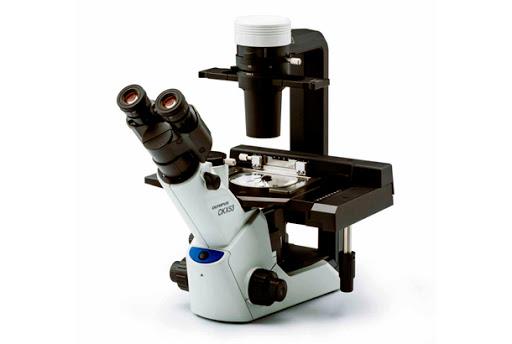 پاورپوینت میکروسکوپ (Microscope)