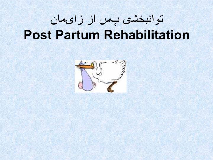 پاورپوینت توانبخشی پس اززایمان Post Partum Rehabilitation