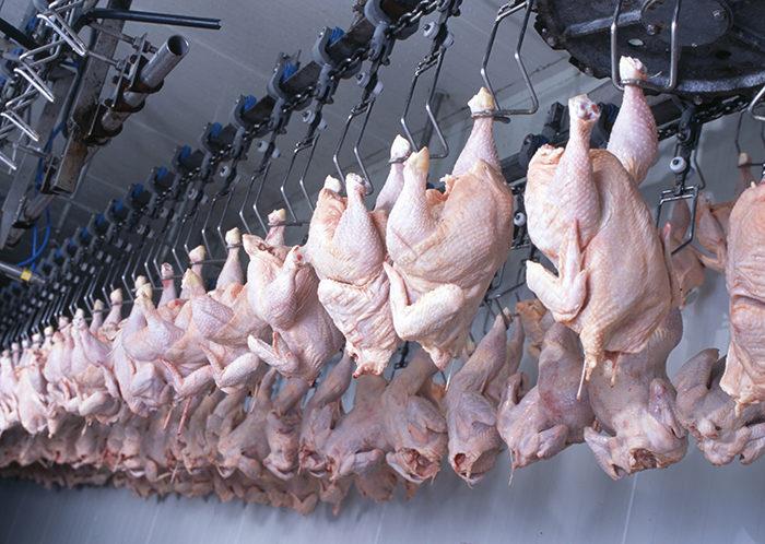 پاورپوینت در مورد تصفیه پساب کشتارگاه مرغ به روش انعقاد و لخته سازی