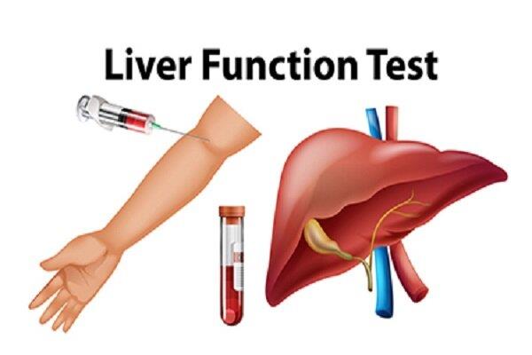 پاورپوینت آزمایشات عملکرد کبد Liver Function Tests