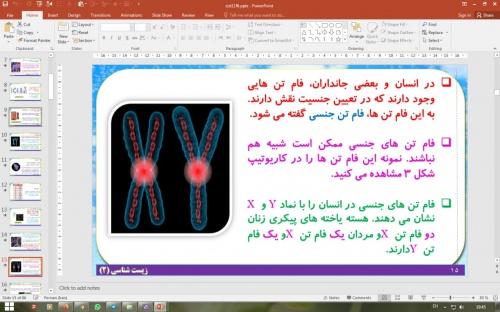 پاورپوینت فصل 6 زیست شناسی یازدهم تجربی: تقسیم یاخته
