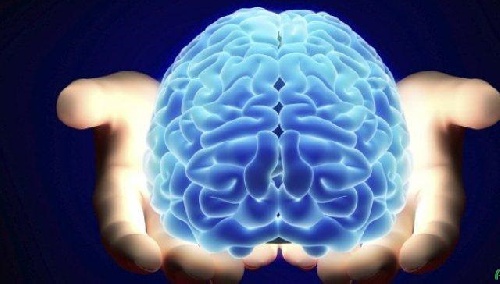 دانلود فایل دانلود مقاله درباره ساختار مغز