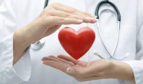  تحقیق درباره دستگاه گردش خون (قلب)
