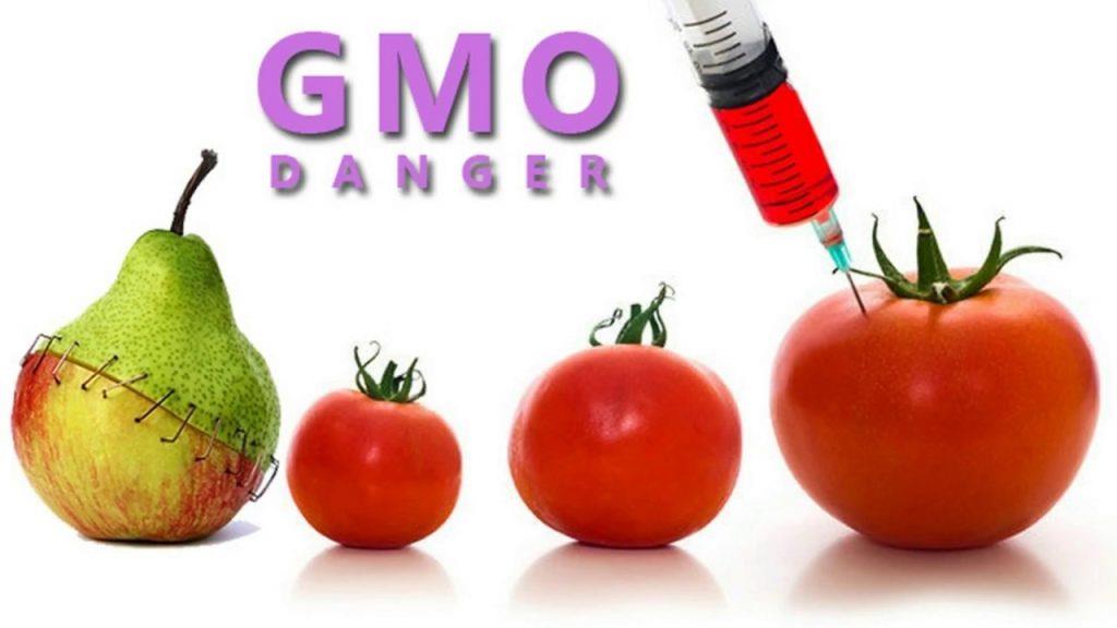 پاورپوینت (GMOs) محصولات دستکاری شده ژنتیک و سلامت
