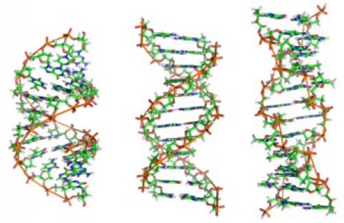  پاورپوینت کامل و جامع با عنوان بررسی آر ان ای یا RNA در 34 اسلاید