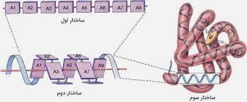 پاورپوینت تعیین ساختار سه بعدی پروتئین بر اساس توالی اسیدهای آمینه