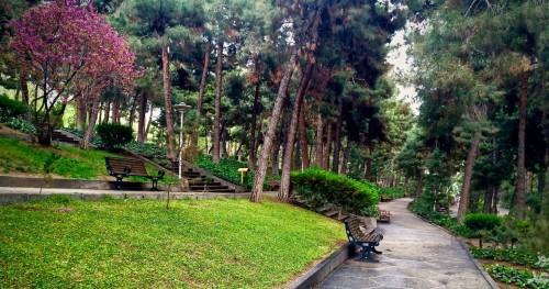 جزوه پارک های جنگلی دانشگاه تهران
