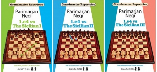 دانلود فایل  تدارک استاد بزرگی e4 علیه سیسیلی جلد ۱ و ۲ و ۳  GM Repertoire 1.e4 vs sicilian