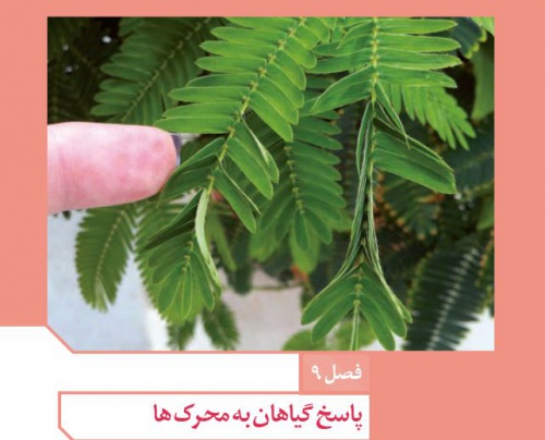 پاورپوینت فصل 9 زیست یازدهم تجربی