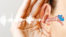 پاورپوینت در مورد فیزیک گوش و شنوایی