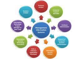 مدیریت سیستمهای اطلاعاتی MIS انواع بیمه ها