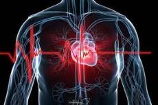 پاورپوینت در مورد خطرسنجی سکته های قلبی عروقی