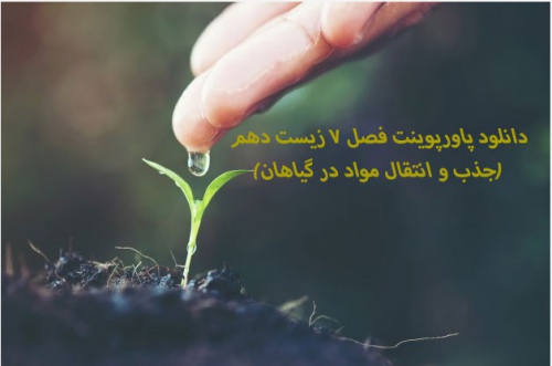 دانلود پاورپوینت فصل 7 زیست دهم(جذب و انتقال مواد در گیاهان)