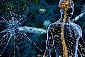 پاورپوینت شایعترین تستهای تشخیصی سیستم عصبی