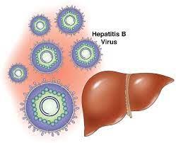 اسلاید آموزشی با عنوان هپاتیت ویروسی