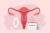  پاورپوینت قاعدگی(mensturation)12 اسلاید