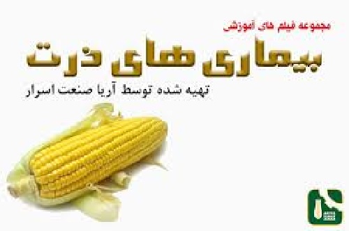  جزوه بیماریهای ذرت و برنج