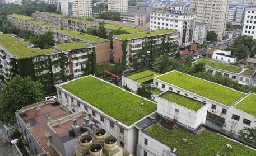  پاورپوینت کامل با عنوان معماری بام سبز در 32 اسلاید