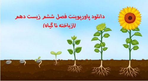 دانلود دانلود پاورپوینت فصل ششم زیست دهم(ازیاخته تا گیاه)