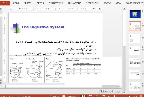  دانلود پاورپوینت در باره ی غذا دادن روزانه به گوساله 