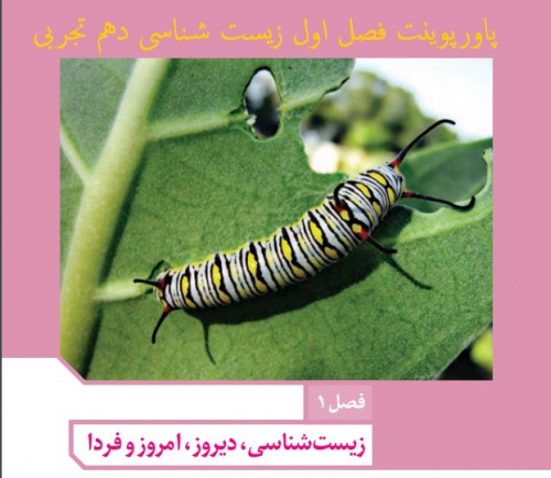 دانلود دانلود پاورپوینت فصل 1 زیست دهم(زیست شناسی دیروز، امروز و فردا)