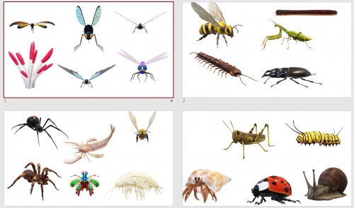  طرح سه بعدی حشرات