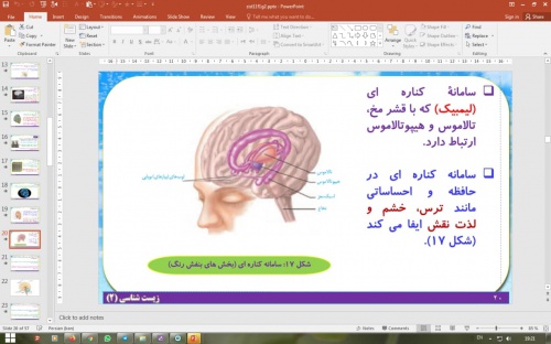  پاورپوینت گفتار 1 زیست شناسی پایه یازدهم تجربی: یاخته های بافت عصبی (فصل 1 تنظیم عصبی)