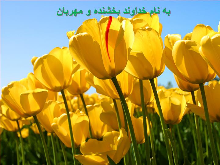 پاورپوینت پيشگيري از كم تحركي دردانش آموزان استان اصفهان