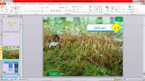  پاورپوینت  درس 12 علوم نهم  (دنیای گیاهان)