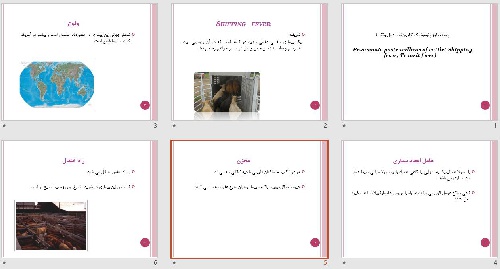   پاورپوينت با عنوان پاستورلوز پنومونیک گاوی (تب حمل ونقل)