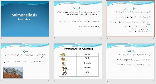  پاورپوينت با عنوان بیماری سالمونلا Salmonellosis