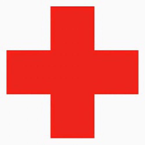  پاورپوینت کامل و جامع با عنوان صلیب سرخ و هلال احمر در مدارس در 49 اسلاید