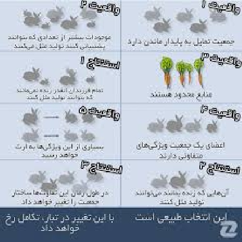  دانلود تحقیق در مورد تکامل گیاهان 