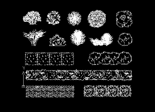  فایل اتوکد آبجکت انواع بوته و درختچه