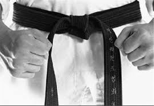  تحقیق درمورد کاراته