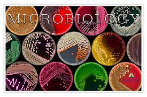 دانلود فایل پاورپوینت با موضوع میکروبیولوژی مواد غذایی