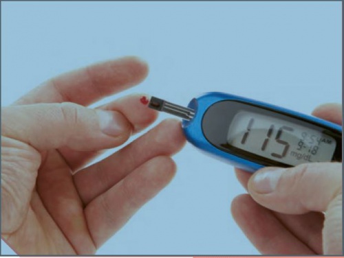 دانلود پاورپوینت فصل 4 زیست یازدهم تجربی