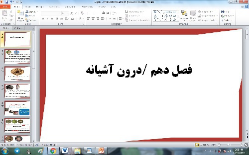 دانلود پاورپوینت فصل دهم علوم دوم ابتدایی ، مبحث درون آشیانه