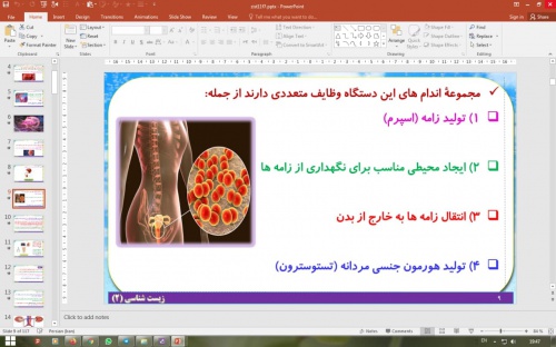 دانلود پاورپوینت فصل 7 زیست شناسی یازدهم تجربی: تولید مثل
