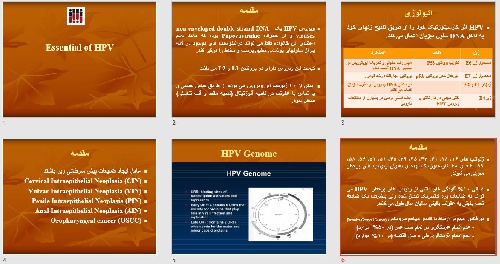  پاورپوينت با عنوان ویروس HPV 